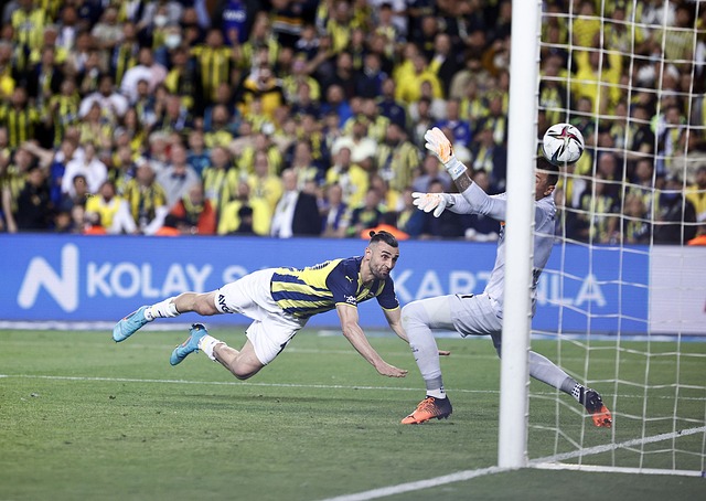 不公平优势 不公平优势