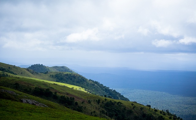 分发挥塞乌 分发挥塞乌
